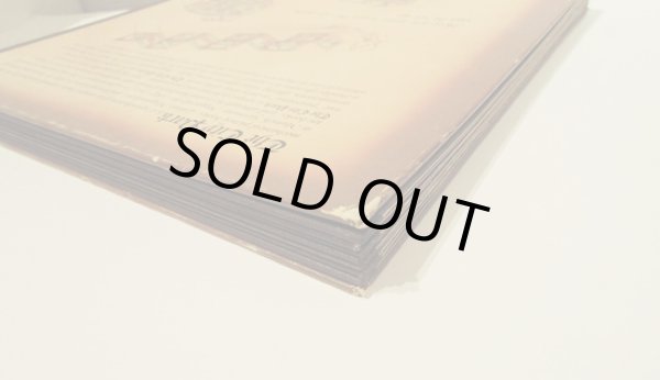 画像7: メッゲンドルファー Lothar Meggendorfer / The City Park (7)