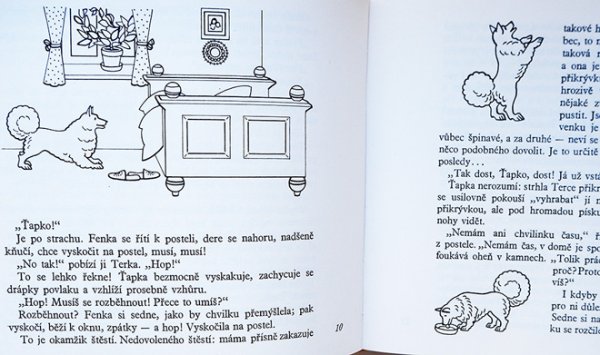 画像2: Jaromir Zapal ヤロミール・ザーパル:絵 Irena Jurgielewiczova:著 / Terka Jede Do Varsavy <チェコ絵本> (2)