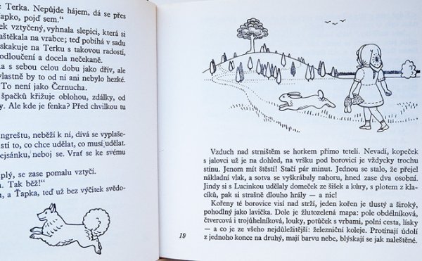 画像4: Jaromir Zapal ヤロミール・ザーパル:絵 Irena Jurgielewiczova:著 / Terka Jede Do Varsavy <チェコ絵本> (4)