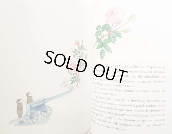 画像4: Jacqueline Duheme:絵 Maurice Druon:著 / Tistou les pouces verts みどりのゆび (4)