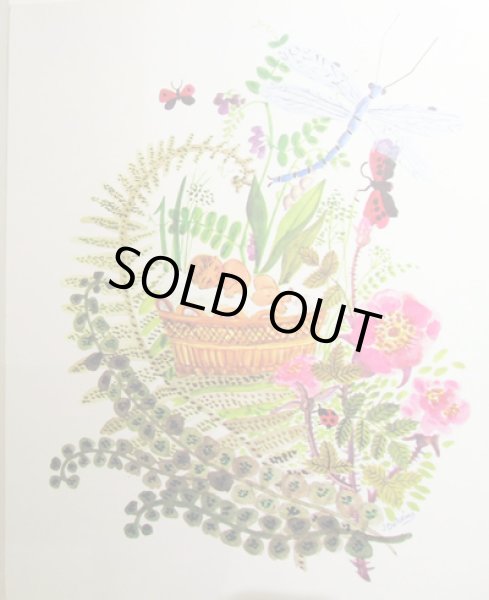 画像2: Jacqueline Duheme:絵 Maurice Druon:著 / Tistou les pouces verts (2)