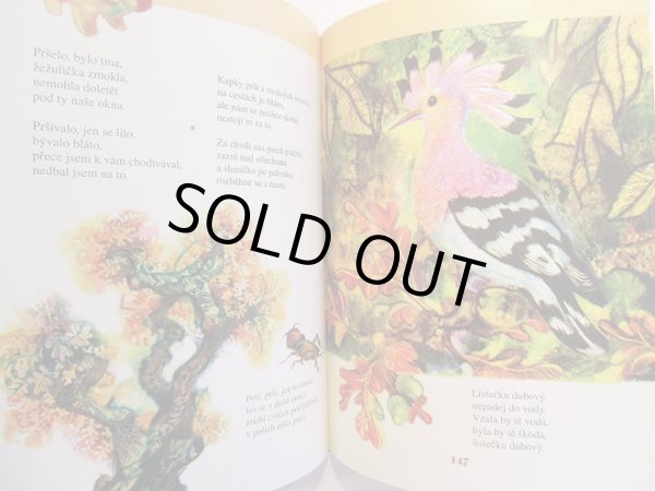 画像5: イジー・トルンカ Jiri Trnka / TRNKUV SPALICEK RIKADEL, PISNICEK A POHADEK ＜チェコ絵本＞ (5)