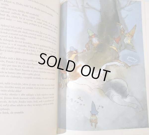 画像2: イジー・トゥルンカ Jiri Trnka:絵 Josef St. Kubin:著 / V carodejnem kole <チェコ絵本> (2)