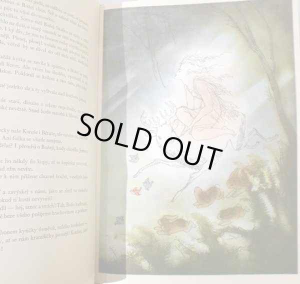 画像5: イジー・トゥルンカ Jiri Trnka:絵 Josef St. Kubin:著 / V carodejnem kole <チェコ絵本> (5)