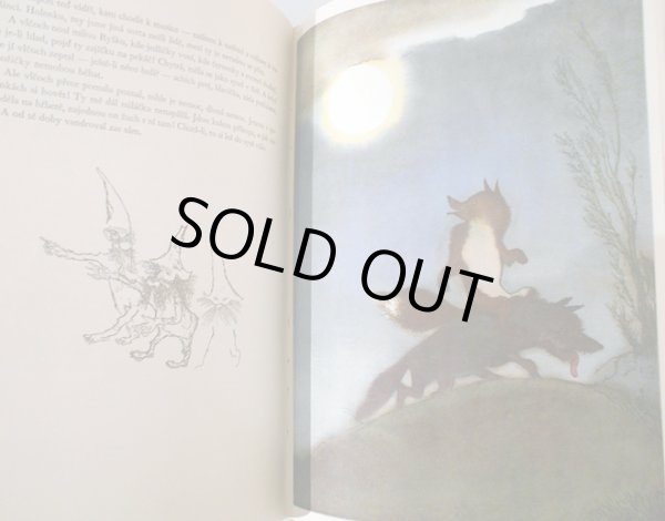 画像6: イジー・トゥルンカ Jiri Trnka:絵 Josef St. Kubin:著 / V carodejnem kole <チェコ絵本> (6)