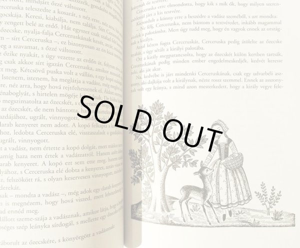 画像5: ルカーチ・カトー K. Lukats Kato:絵 Benedek Elek:著 / Vilagszep Nadszal kisasszony (5)