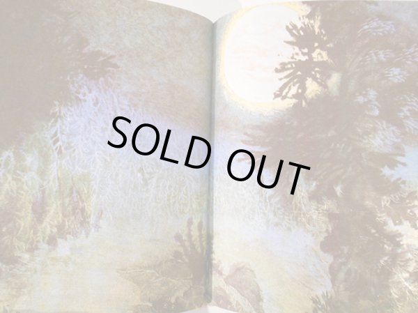 画像2: イジー・トゥルンカ Jiri Trnka:絵 Hana Doskocilova:著 / Vom Hirsch mit dem goldenen Geweih <チェコ絵本> (2)