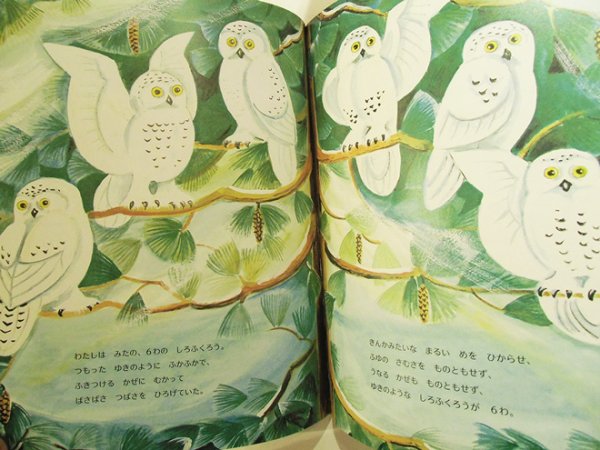 画像4: ダーロフ・イプカー:作 / わたしのすてきなクリスマスツリー (4)