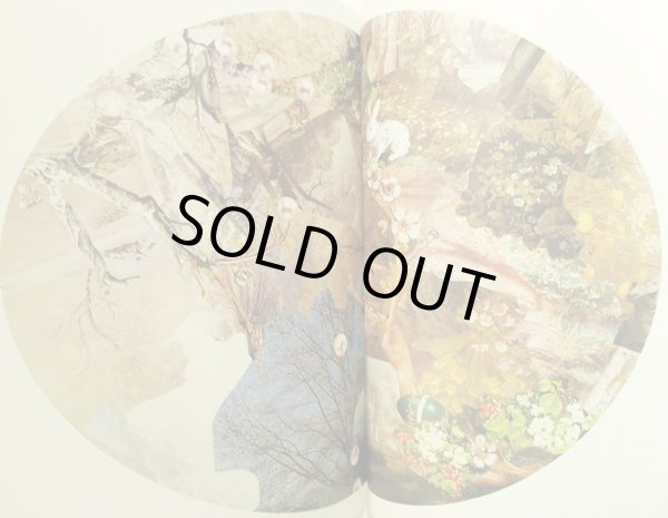 画像4: ハンス・クリスチャン・アンデルセン:著 デンマーク女王マルグレーテ2世:デコパージュ 三辺律子:訳 / The Snow Queen 雪の女王 (4)