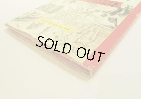 画像6: アドルフ・ホフマイステル Adolf Hoffmeister:絵 Milos Macourek:著 / ZIRAFA NEBO TULIPAN? (キリン?それともチューリップ?)<チェコ絵本> (6)