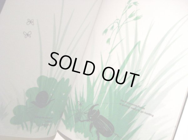 画像3: ブルーノ・ムナーリ Bruno Munari / nella notte buia (in the darkness of the night) 闇の夜に (3)