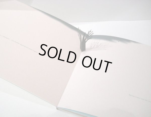 画像2: 駒形克己 / Little tree  (2)