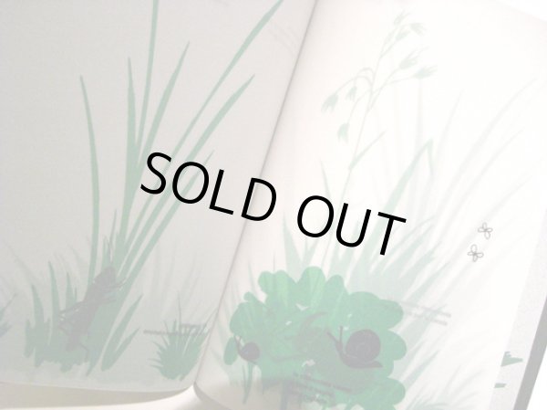 画像3: ブルーノ・ムナーリ Bruno Munari / nella notte buia (3)